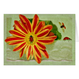 Coccinelle de coccinelle de coccinelle !