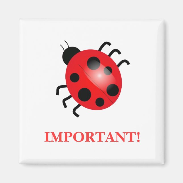 Coccinelle | Magnet (Devant)