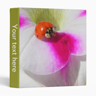 Coccinelle sur le classeur pétunia