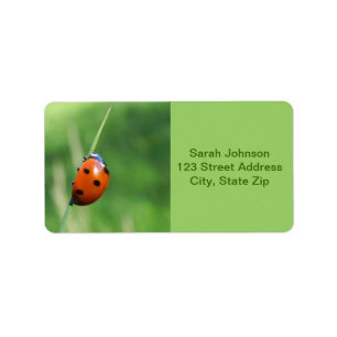 Coccinelle sur une brin d'herbe Étiquettes