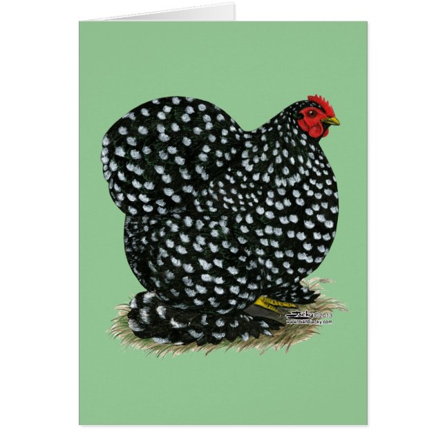 Cochin a chiné la poule (Devant)