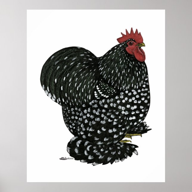 Cochin:  Black Mottle Poster (Front)