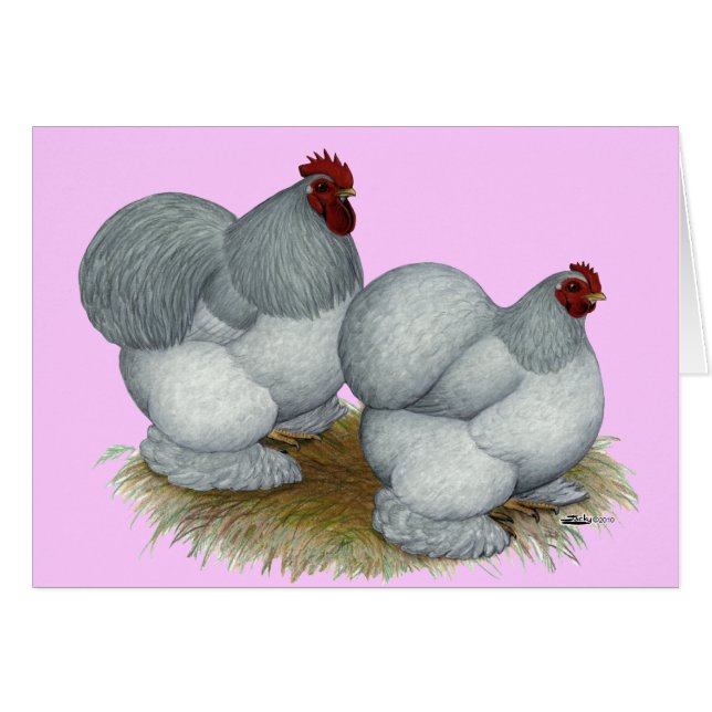 Cochin : bleu auto (Devant Horizontal)