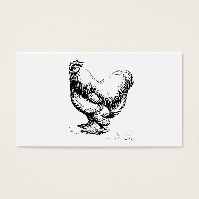 Cochin Chicken (Front)
