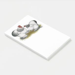 Cochin Columbian Bantams Post-it Notes