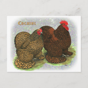 Cochin:  Golden-laced2 Postcard