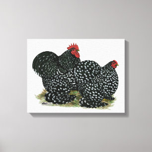 Cochin Mottled Chicken Pair Canvas Print