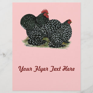 Cochin Mottled Chickens Flyer