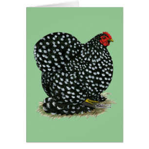 Cochin Mottled Hen
