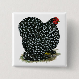 Cochin Mottled Hen 2 Inch Square Button
