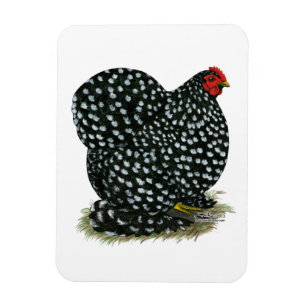 Cochin Mottled Hen Magnet