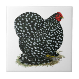 Cochin Mottled Hen Tile