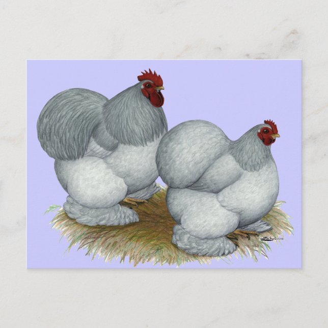 Cochin:  Self Blue Postcard (Front)