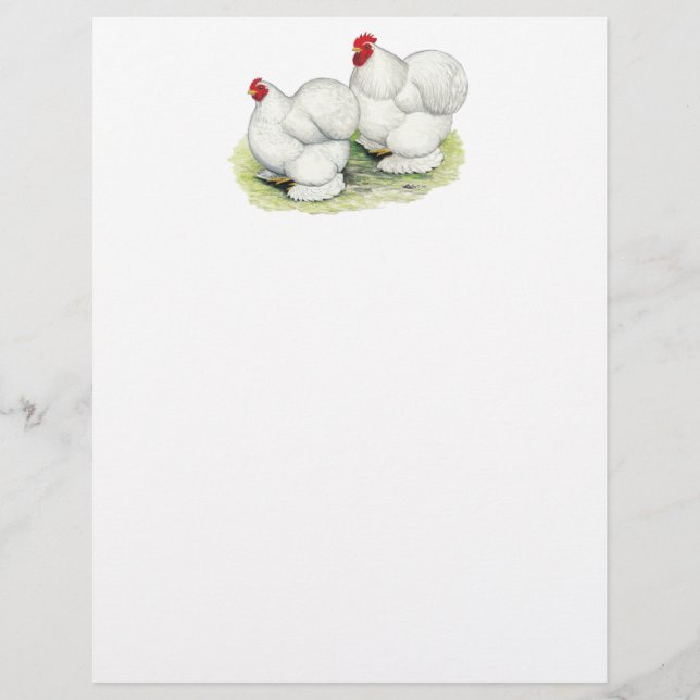 Cochin:  White Bantams (Front)