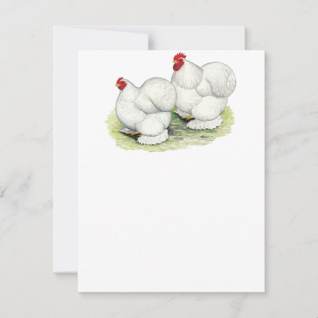 Cochin:  White Bantams (Front)