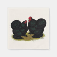 Cochins Black Bantam Pair