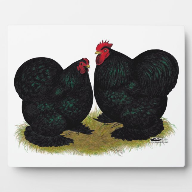 Cochins Black Bantam Pair Plaque (Front)