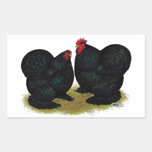 Cochins Black Bantam Pair Sticker