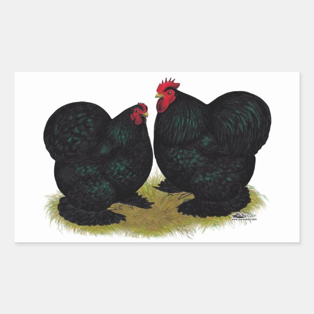Cochins Black Bantam Pair Sticker (Front)
