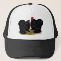 Cochins Black Bantam Pair