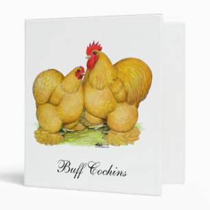Cochins Buff Pair Binder