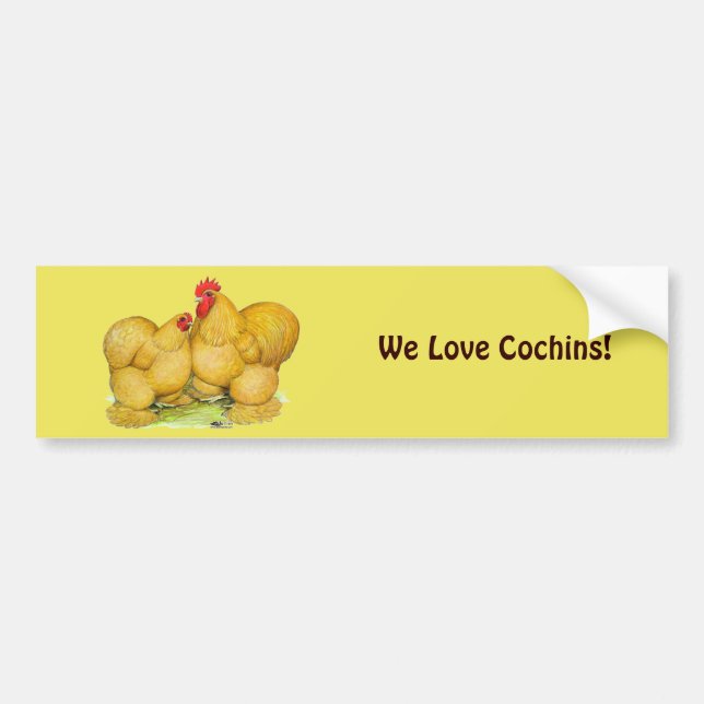 Cochins Buff Pair Bumper Sticker (Front)