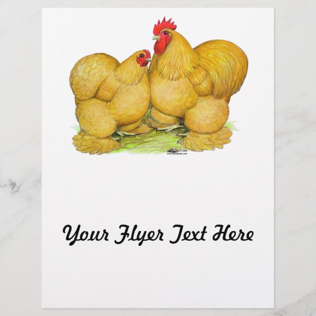 Cochins Buff Pair Flyer (Front)