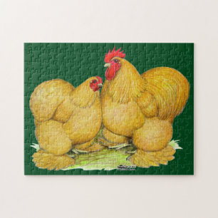 Cochins Buff Pair Jigsaw Puzzle