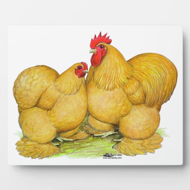 Cochins Buff Pair Plaque (Front)