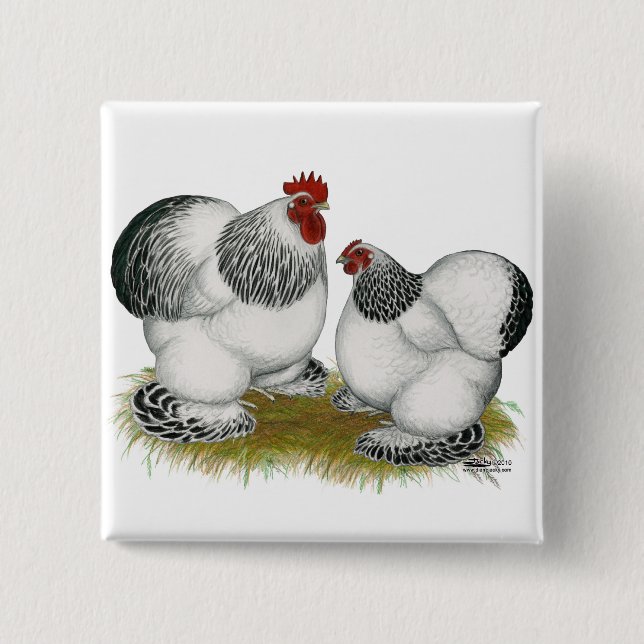Cochins:  Columbian Bantams 2 Inch Square Button (Front)