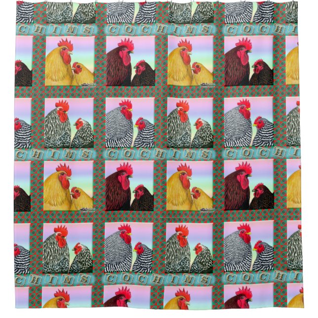 Cochins Four Colours (Front)