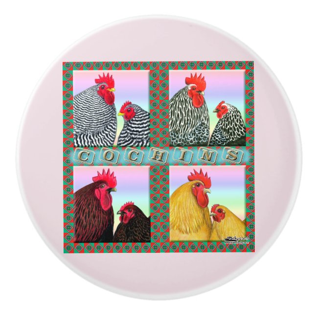 Cochins Four Colours Ceramic Knob (Front)