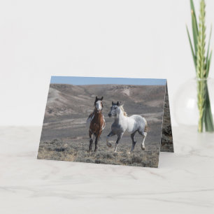 Cochise and Sky Dancer Greeting Card