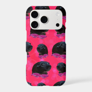 Cochons d'Inde noirs sur de jolies roses roses