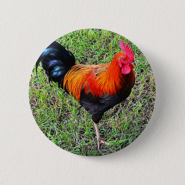 Cock-A-Doodle-Do 2 Inch Round Button (Front)