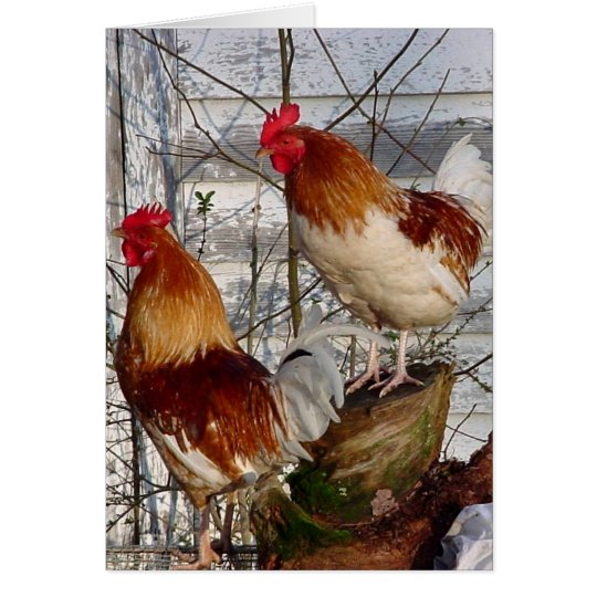 Cock-a-doodle-do Card