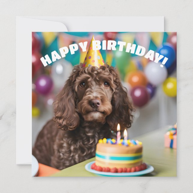 Cockapoo Birthday Party Card (Front)