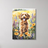 Cockapoo