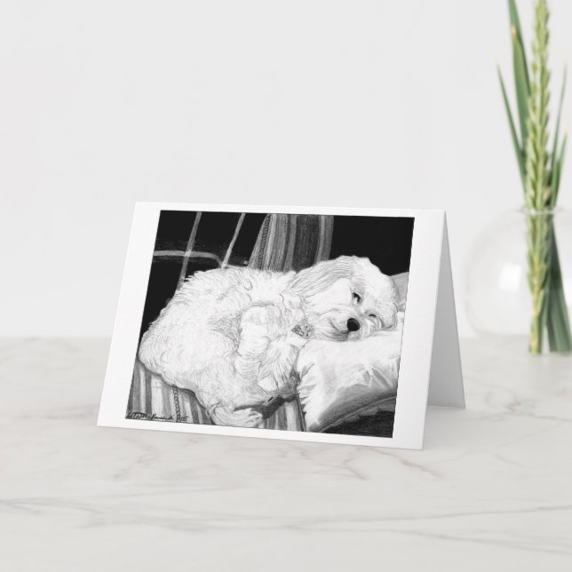 Cockapoo Dog Portrait Blank Greeting Card (Front)