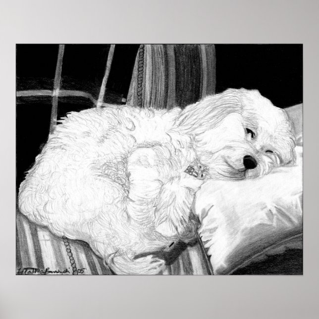 Cockapoo Dog Portrait Poster Print (Front)