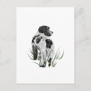Cockapoo Dog, Watercolor Postcard