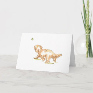 'Cockapoo' greetings card for any occasion.