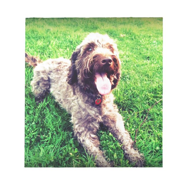 Cockapoo Notepad (Front)