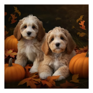 Cockapoo Puppy Autumn Delight Pumpkin  Poster