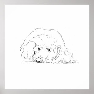Cockapoo Puppy Poster, Dog Lover Gift Ideas Poster