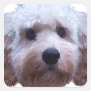 Cockapoo Puppy Square Sticker