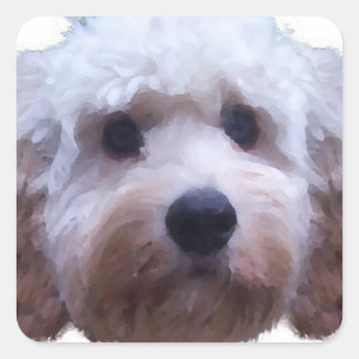 Cockapoo Puppy Square Sticker