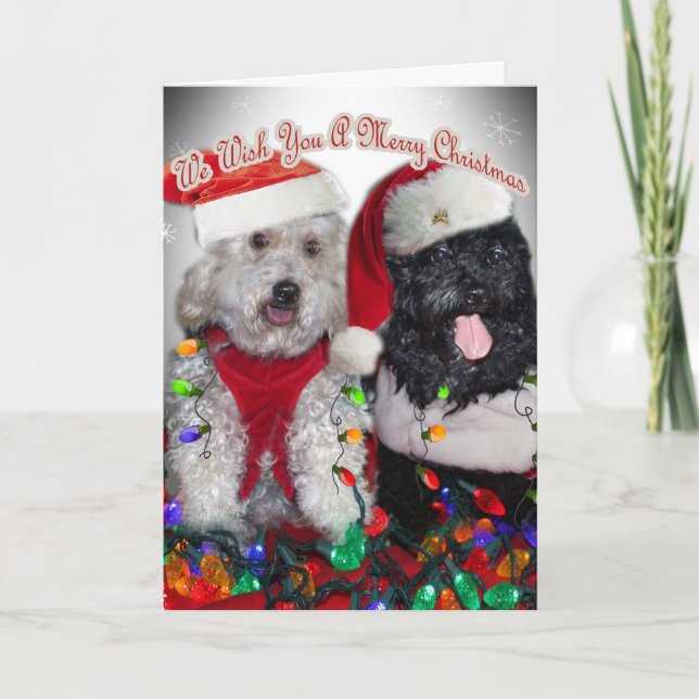 Cockapoo We Wish You Merry Christmas Holiday Card (Front)