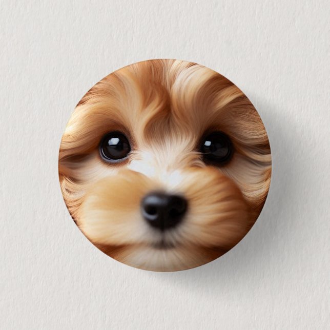 Cockapoodle Puppy Face With Big Eyes, Cute Dog 1 Inch Round Button (Front)