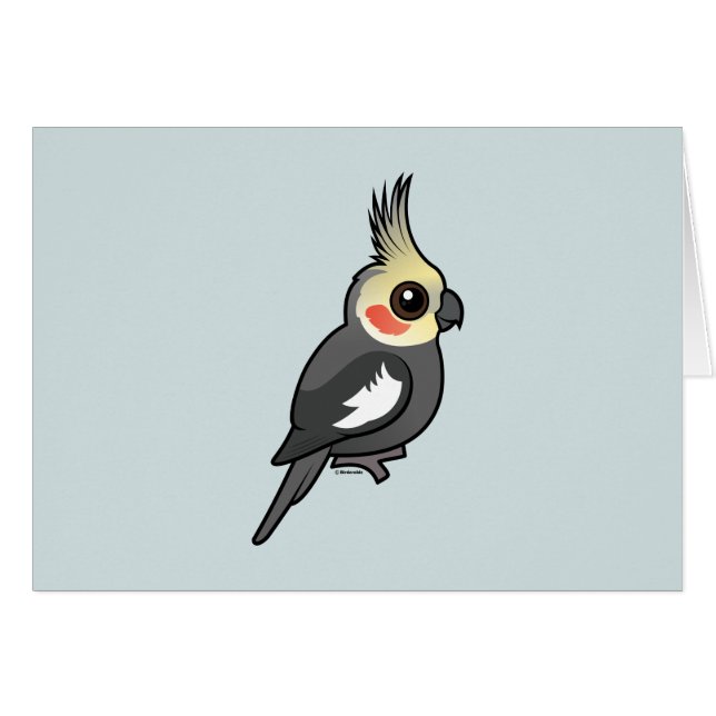 Cockatiel (Devant horizontal)